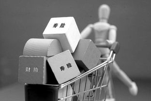台风来临，买保险要看清 不明白这些条款，可能白花钱
